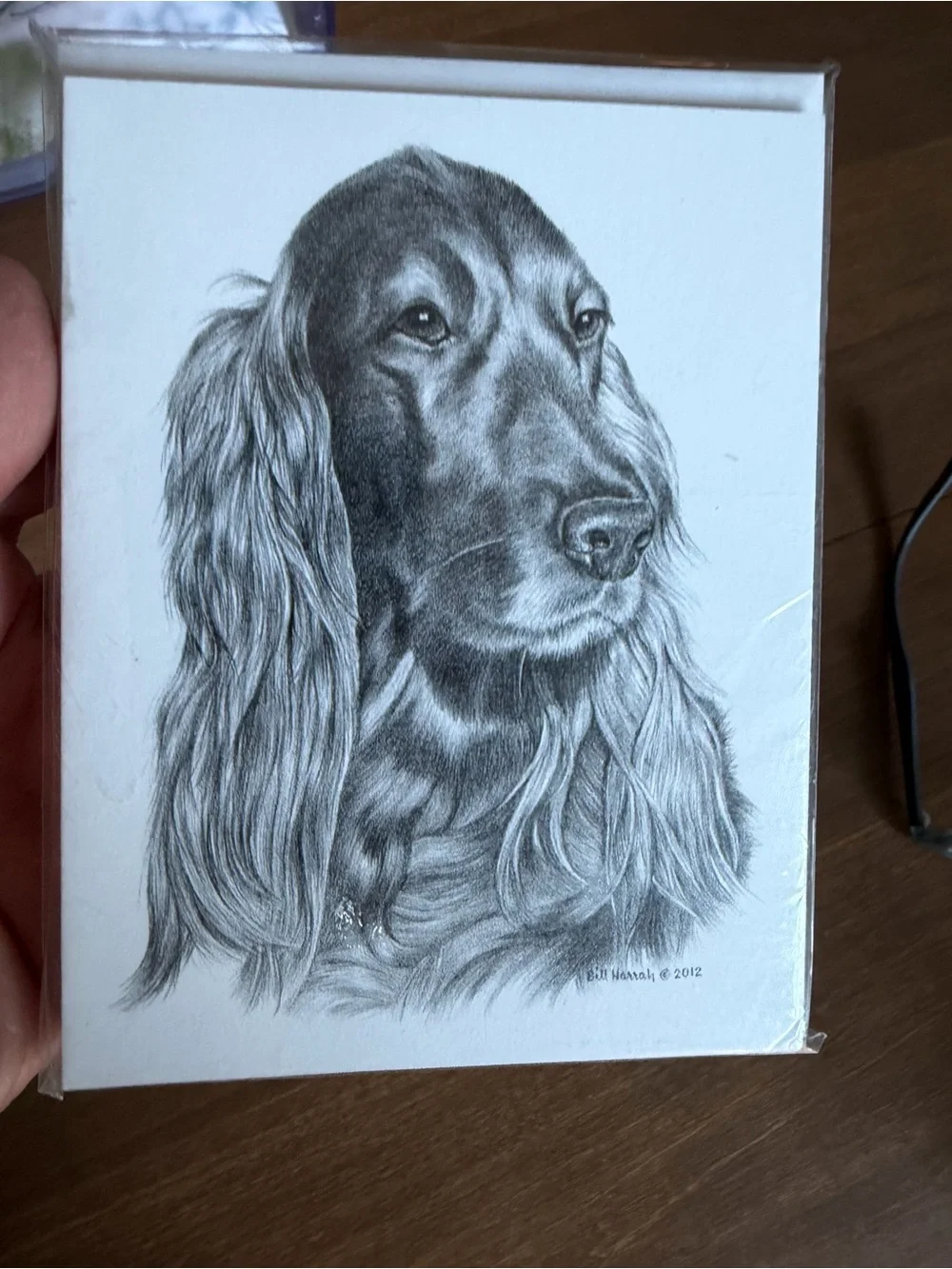 Irish Setter Dog Note Cards (8) Fine Art Drawing